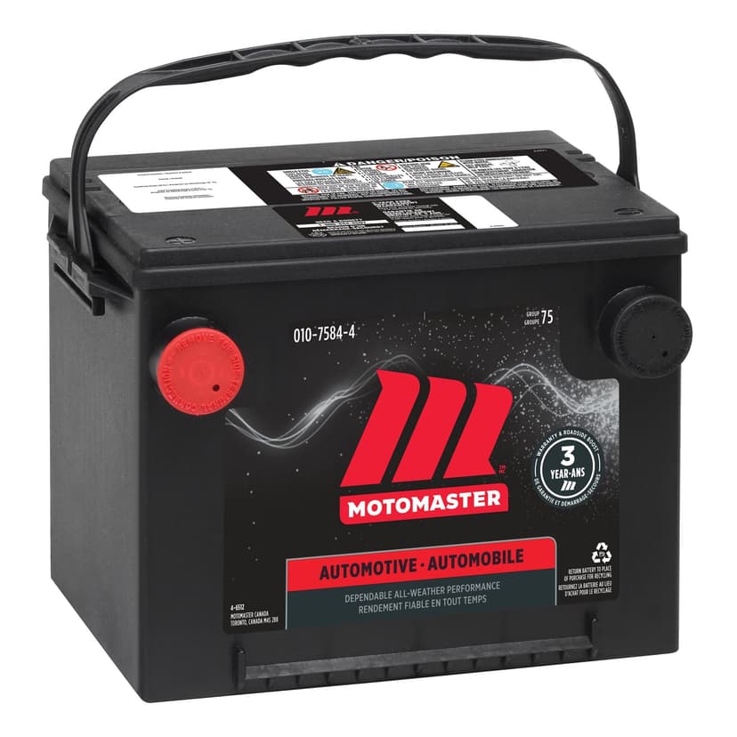 MOTOMASTER Group Size 75 Battery, 650 CCA