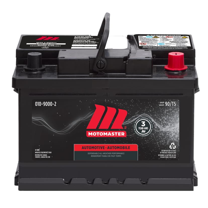 MOTOMASTER Group Size 90 (T5/LB2) Battery, 600 CCA