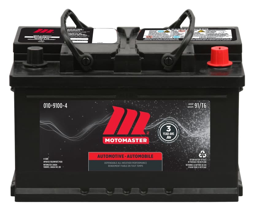 MOTOMASTER Group Size 91 (T6/LB3) Battery, 700 CCA