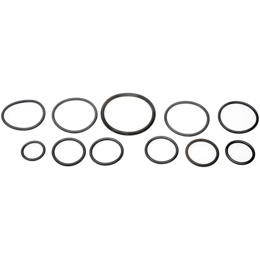 Dorman O Ring Kit