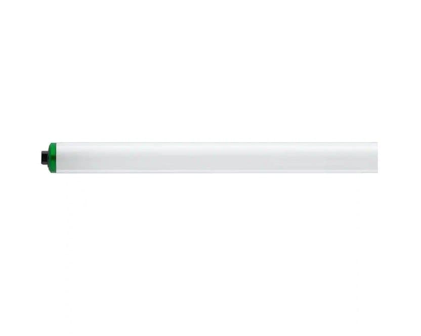 Philips T12 Single-Pin Fa8 Base Basement/Garage Tube Light Bulbs, 5000K, 75W, 2-pk