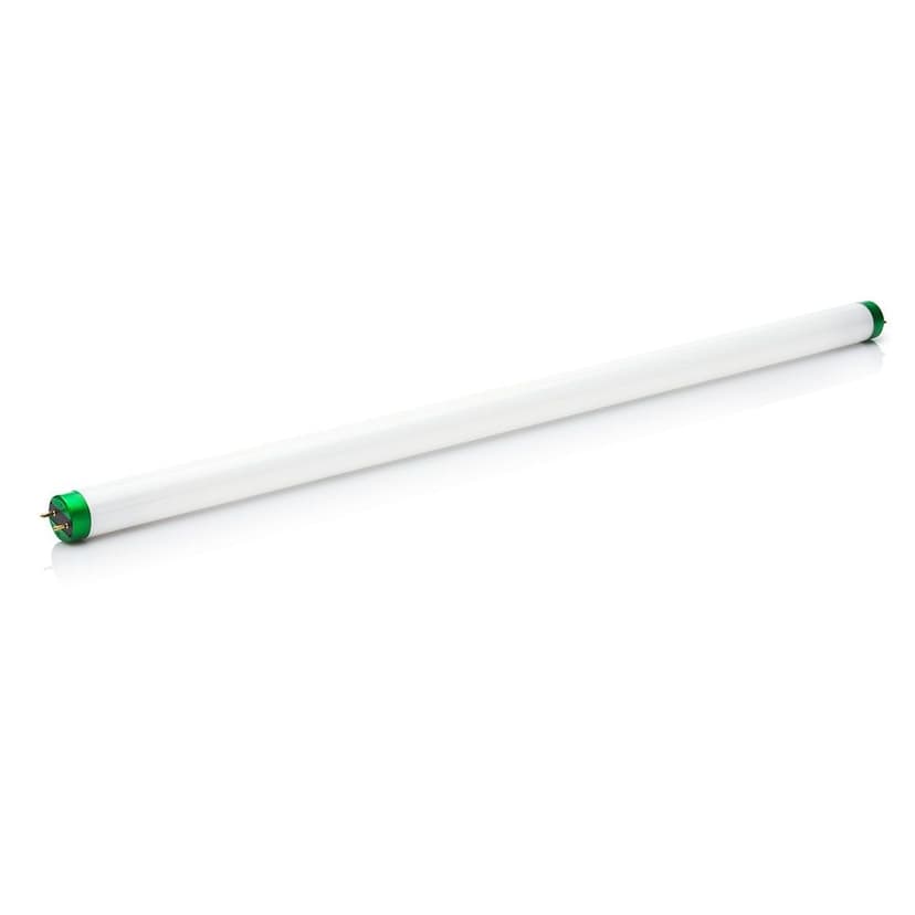 Philips T8 G5 Bi-Pin Base Fluorescent Tube Light Bulb, Warm White, 15W, 18-in