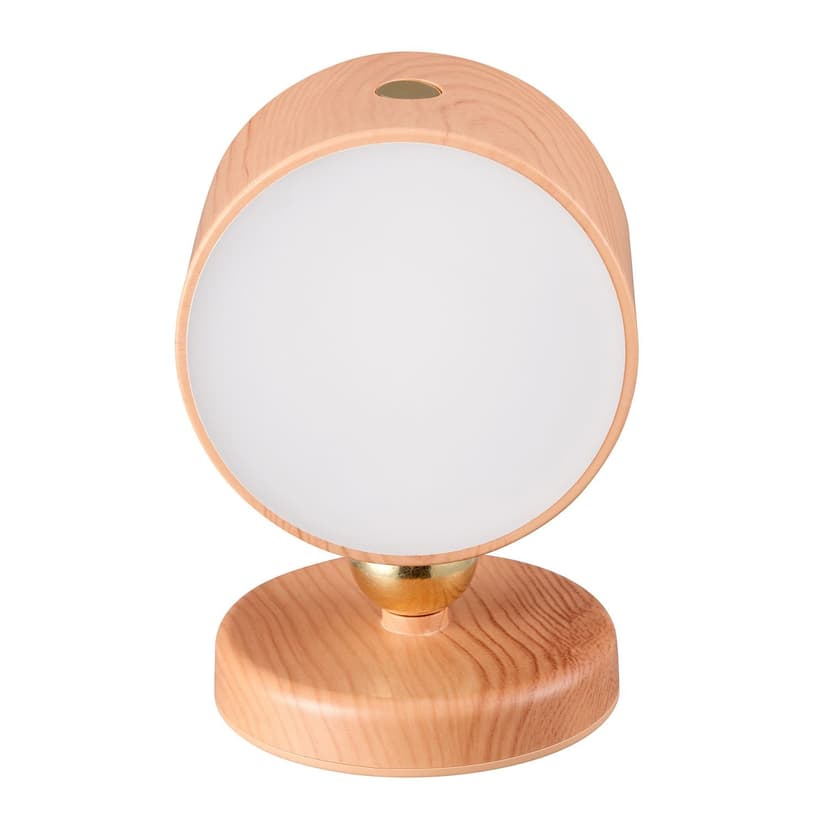 Globe Rechargeable LED Wall Light, Warm White