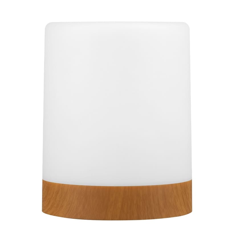 Globe Touch Lamp LED Night Light
