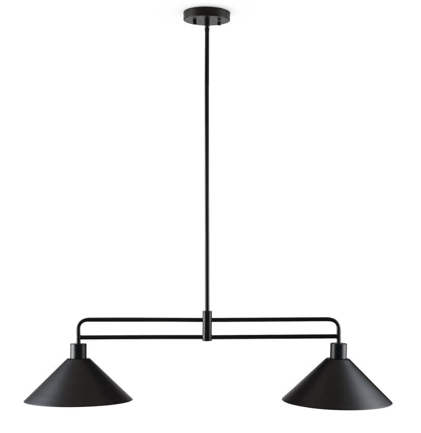 Canvas Brookview 2-Light Industrial Pendant, Black