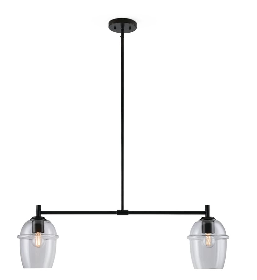 Canvas Delamere 2-Light Pendant with Glass Shades, Black