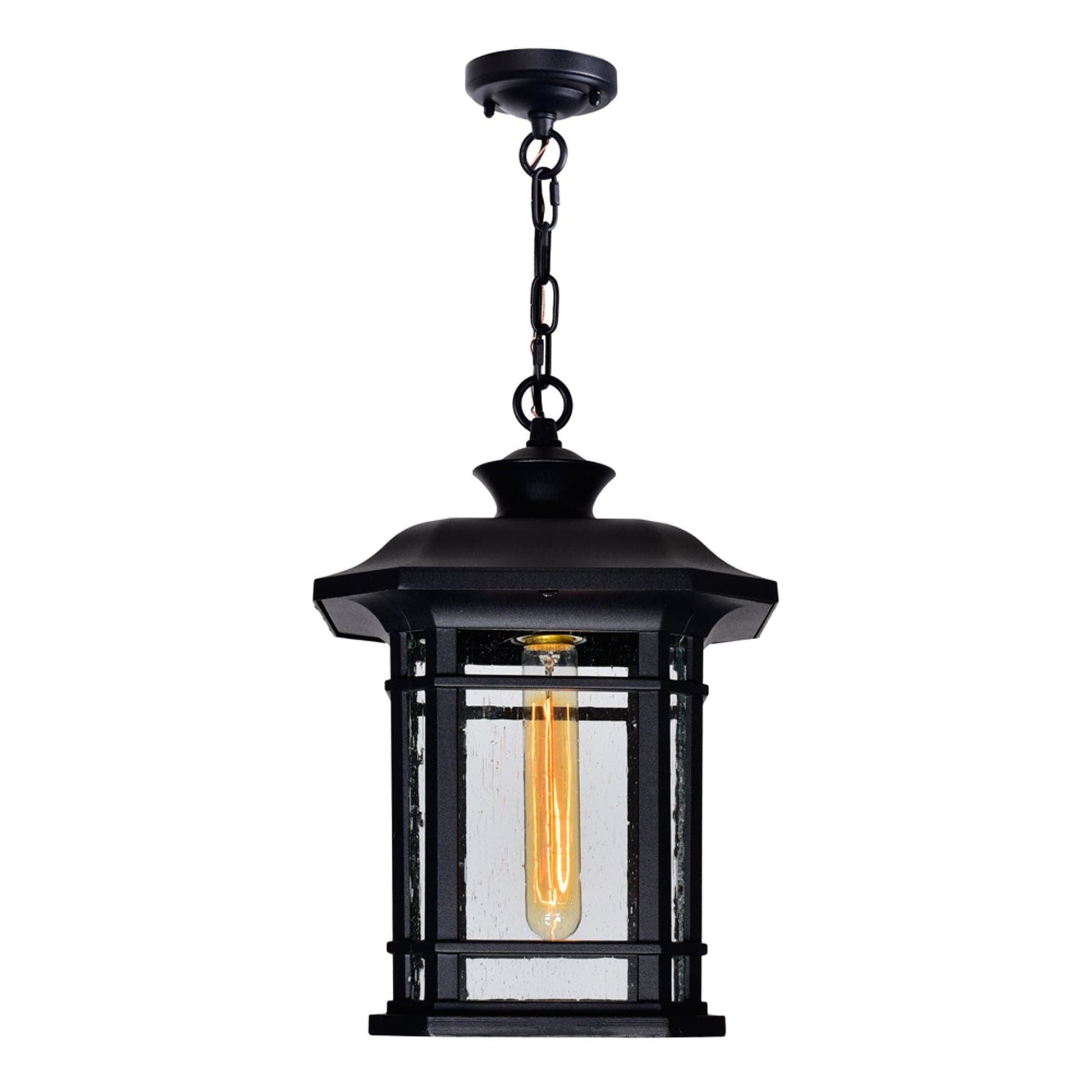 CWI Lighting Blackburn 1-Light Black Outdoor Pendant