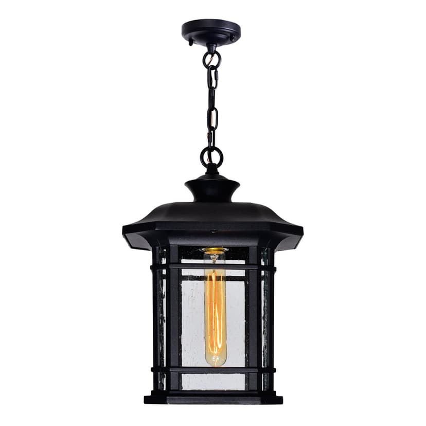 CWI Lighting Blackburn 1-Light Black Outdoor Pendant