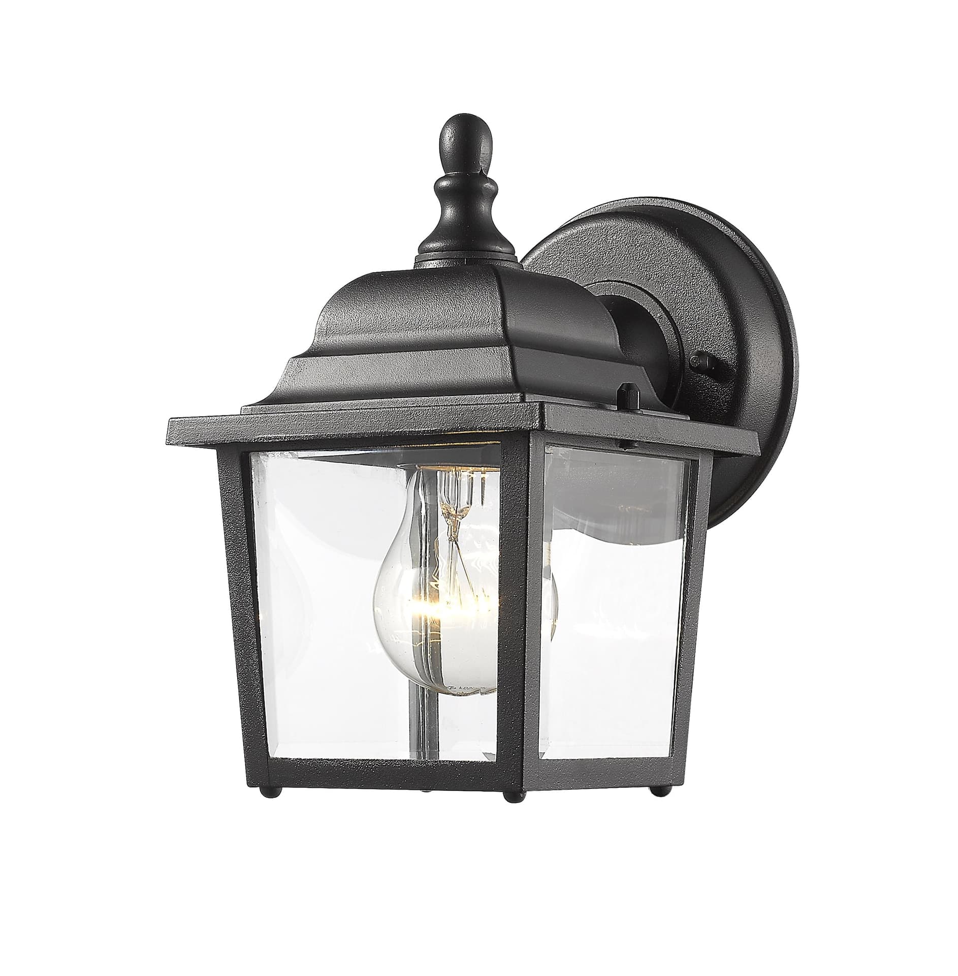 Z-Lite Waterdown 1-Light Outdoor Wall Lantern with Clear Shade, Black