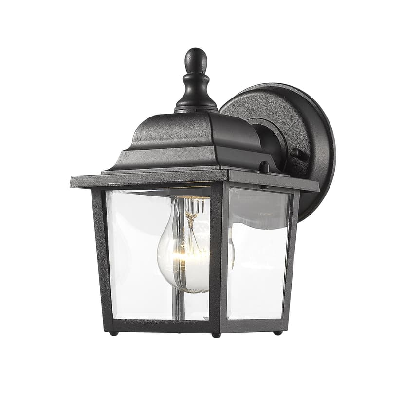 Z-Lite Waterdown 1-Light Outdoor Wall Lantern with Clear Shade, Black