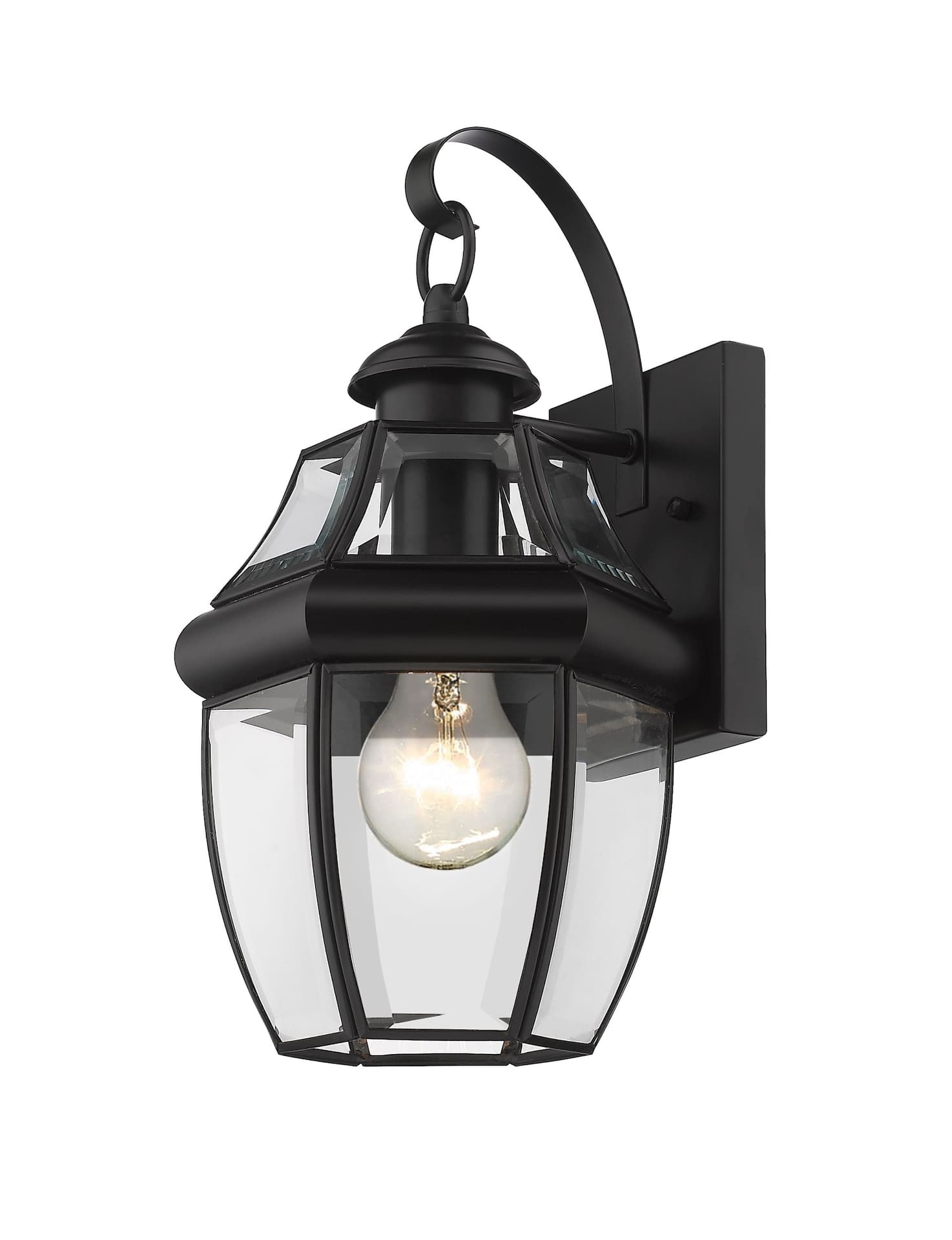Z-Lite Westover 1-Light Outdoor Wall Light with Clear Shade, Black