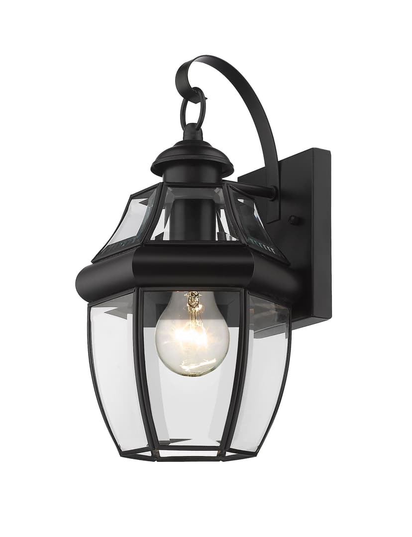 Z-Lite Westover 1-Light Outdoor Wall Light with Clear Shade, Black