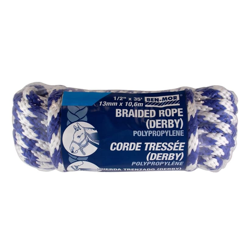 Ben-Mor Polypropylene Derby Rope, 300-lb Capacity, Blue