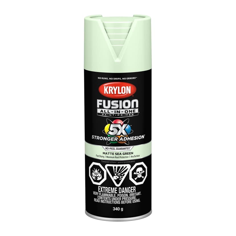 Krylon Fusion All-In-One® Spray Paint Aerosol, Matte, Sea Green, 340-g