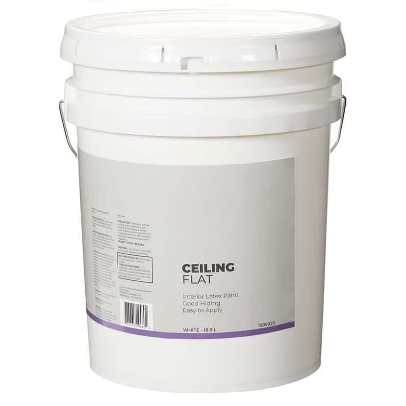 Interior Ceiling Latex Paint, Flat, White, 18.9-L/5-Gallons