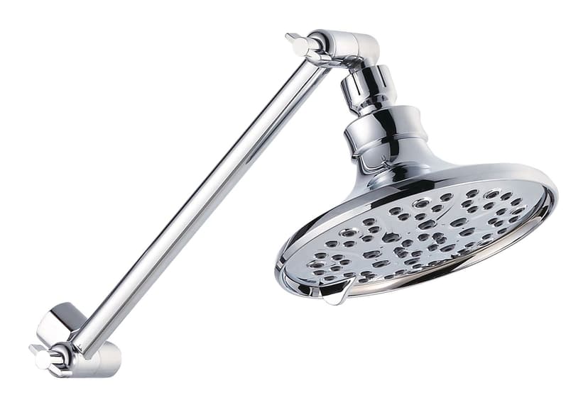 Danze 2.5GPM 6 Settings Fixed Showerhead with Adjustable arm in Chrome Finish