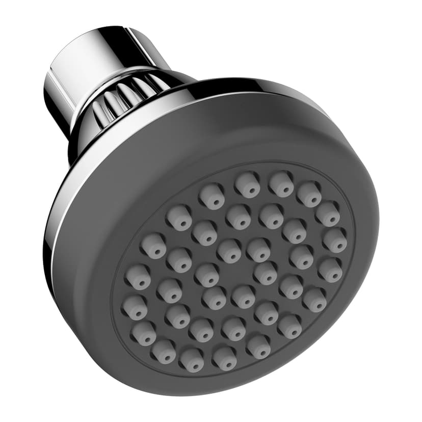 Danze 1-Setting Fixed Mounted Shower Head, 2.5GPM, Chrome