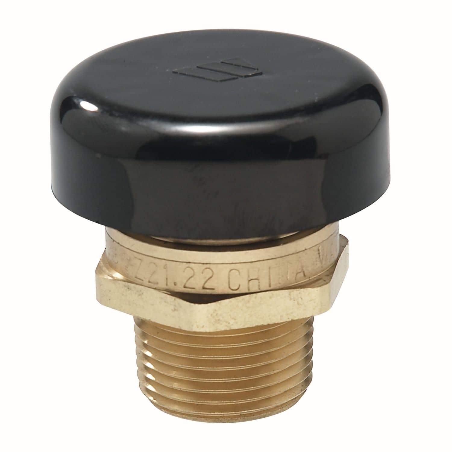 Watts Vacuum Relief Valve for Low Pressure Steam/Water, 1/2-in, 200-PSI