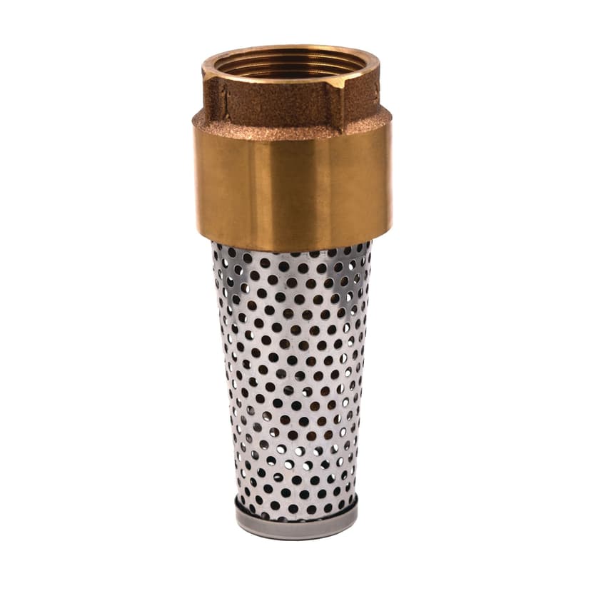Superior Brass Foot Valve with Steel Strainer, 1-1/4-in, Brass