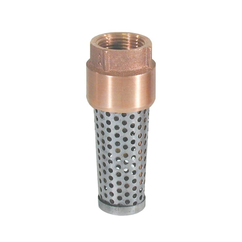 Superior Brass Foot Valve, 1-in, Spring-loaded, Brass