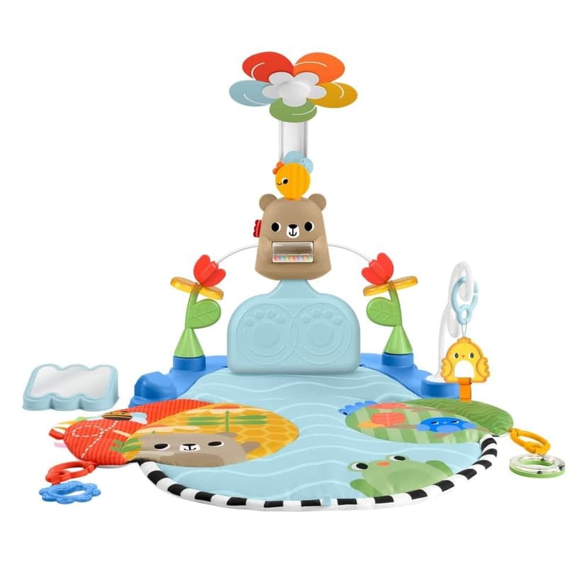 Fisher Price Kick & Sway™ Baby Activity Gym