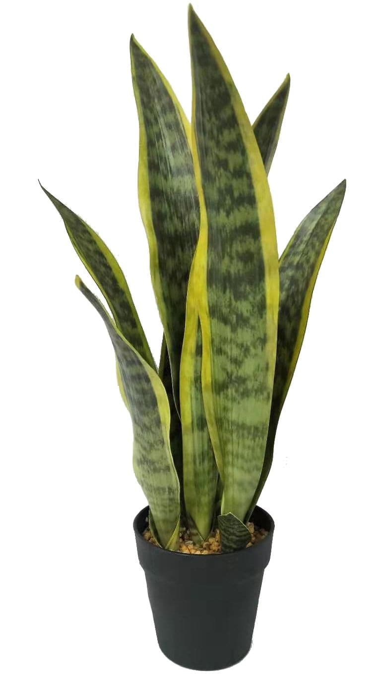 CANVAS Artificial Indoor Sansevieria Plant in Black Pot, 25-in