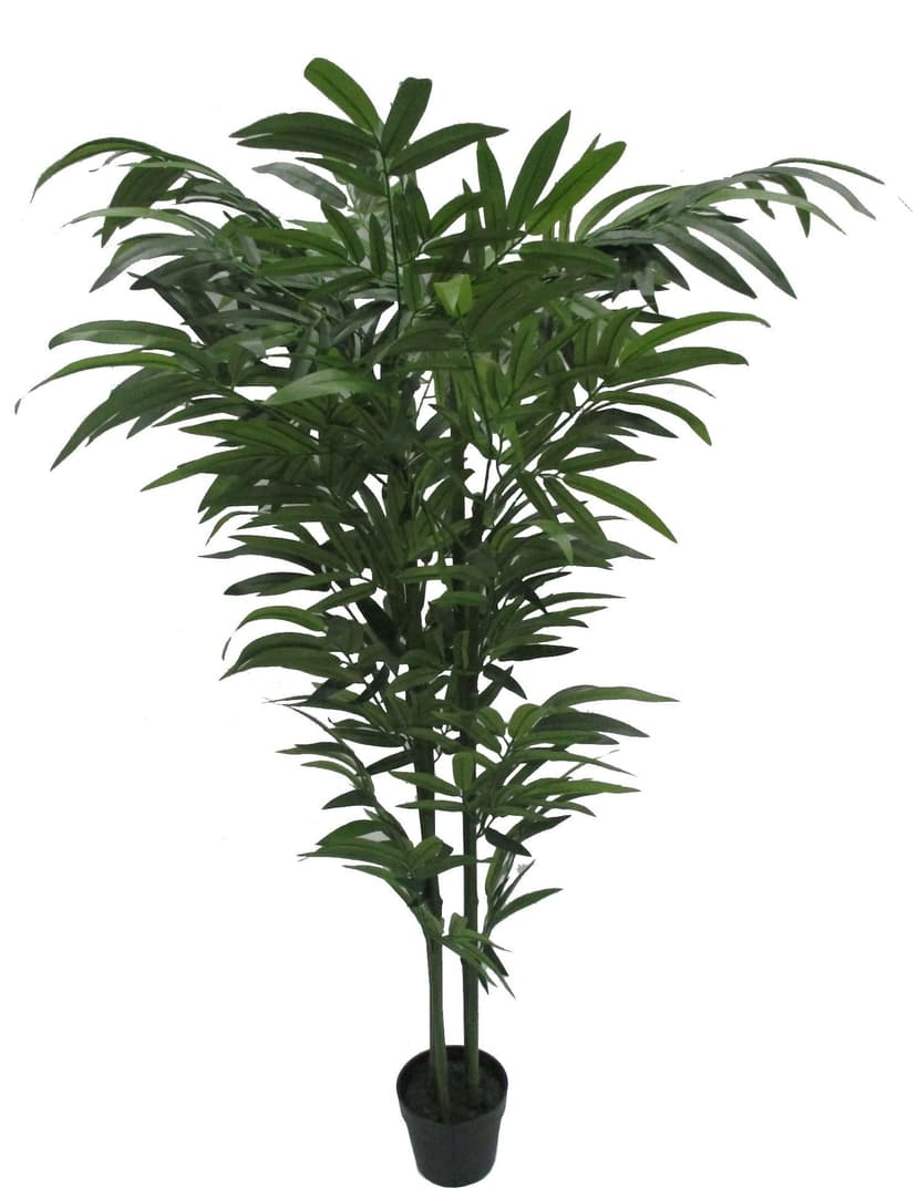 CANVAS Artificial Indoor Bamboo Tree in Black Plastic Pot, 5-ft