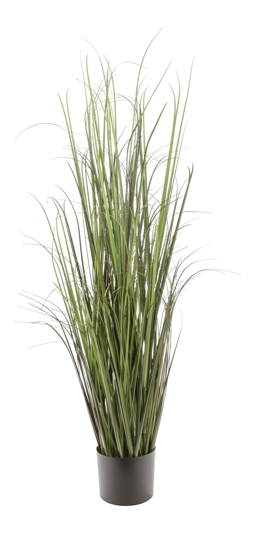 Naturae Décor Indoor/Outdoor Grass in Black Plastic Pot, 47-in