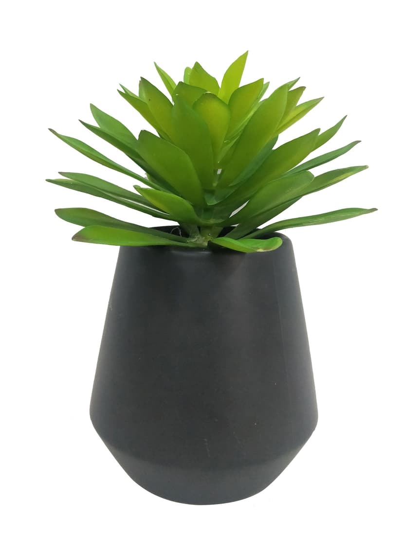 CANVAS Artificial Indoor Succulent in Ceramic Pot, 17-in