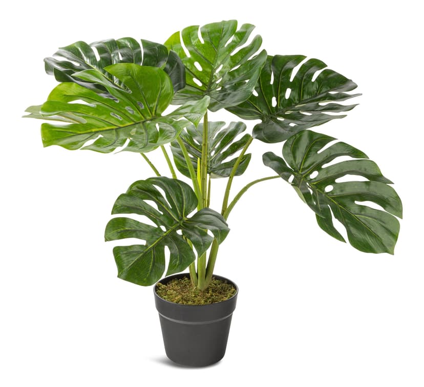 Naturae Décor Artificial Indoor Monstera Leaf Plant, 23-in