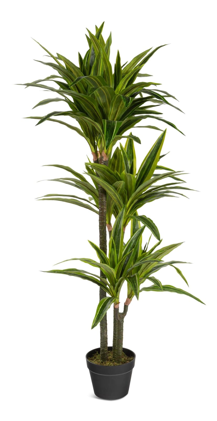 Naturae Décor Artificial Indoor/Outdoor Dracaena Plant in Black Pot, 47-in