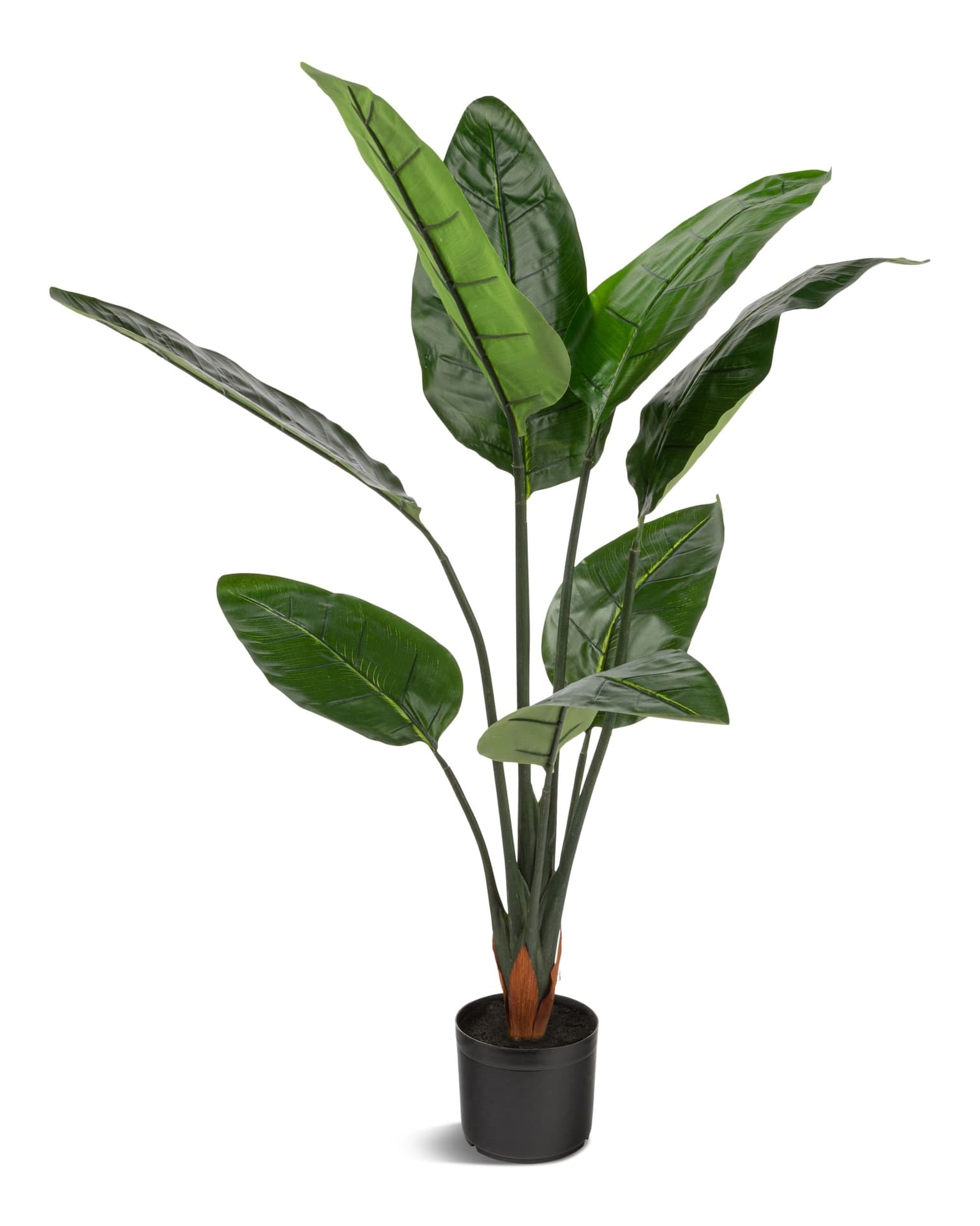 Naturae Décor Artificial Indoor/Outdoor Bird Of Paradise Indoor/Outdoor Plant in Black Pot, 45-in