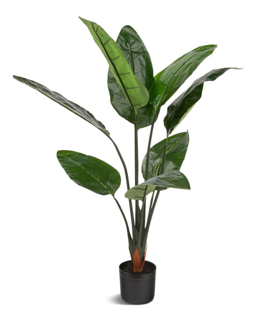 Naturae Décor Artificial Indoor/Outdoor Bird Of Paradise Indoor/Outdoor Plant in Black Pot, 45-in