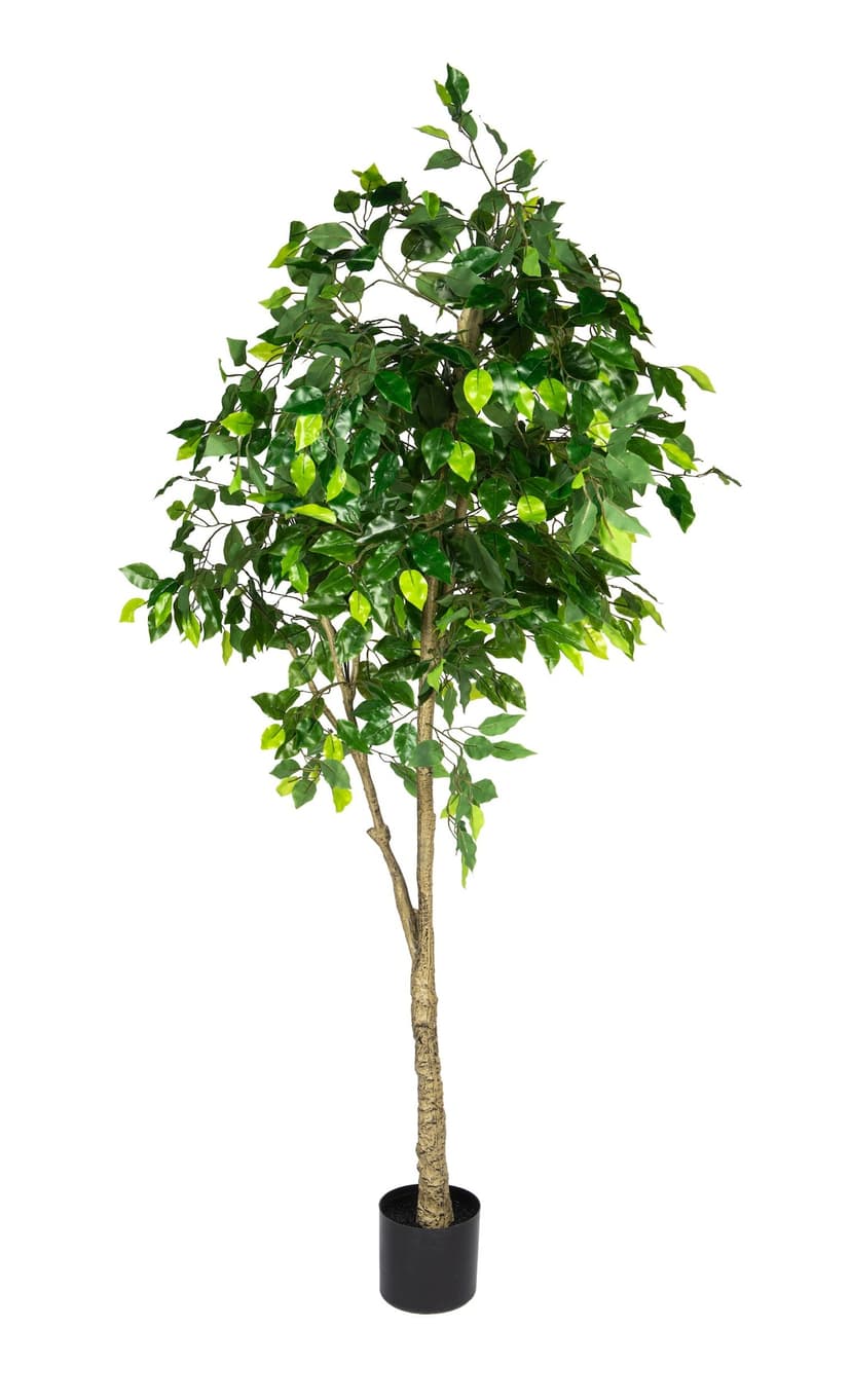 Naturae Décor Artificial Indoor Ficus Leaf Tree, 70-in