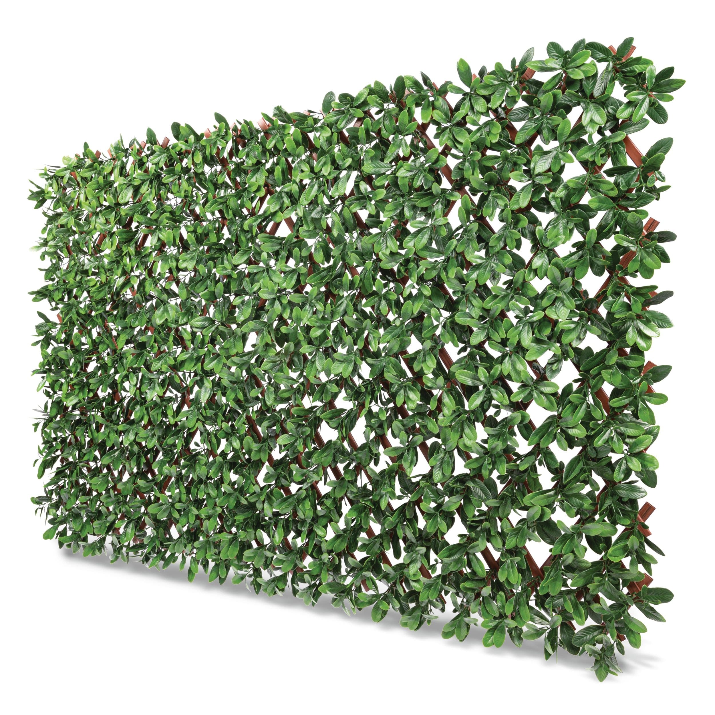 Naturae Décor PVC Expandable Trellis Indoor/Outdoor Ficus Leaf, 40-in x 80-in