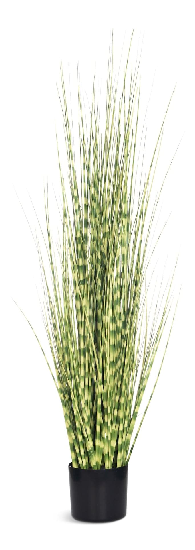Naturae Décor 47-in Artificial Indoor/Outdoor Zebra Grass Plant with Black Pot