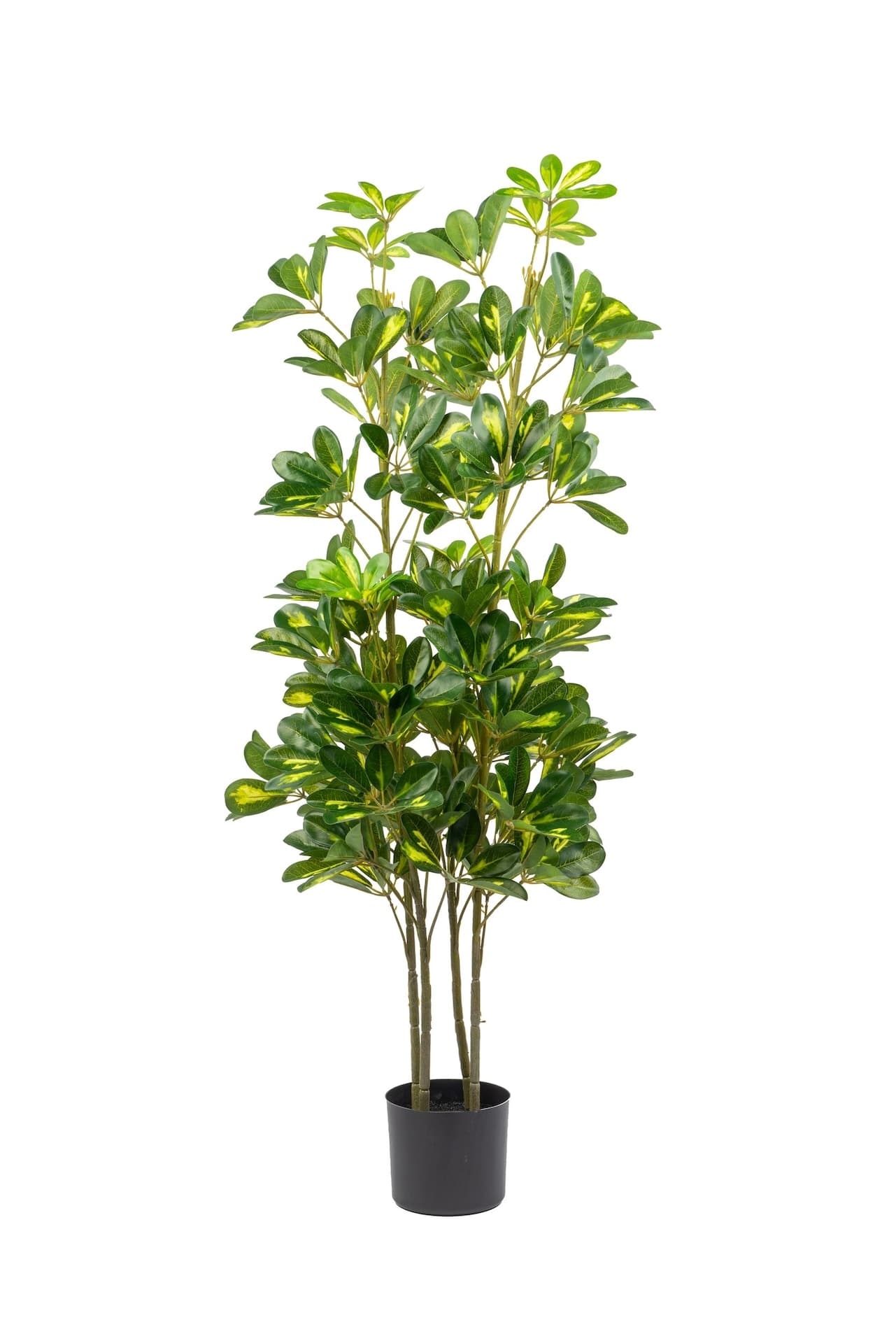Naturae Décor 47-in Artificial Indoor/Outdoor Schefflera Plant in Black Pot