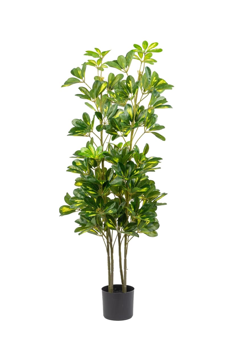 Naturae Décor 47-in Artificial Indoor/Outdoor Schefflera Plant in Black Pot