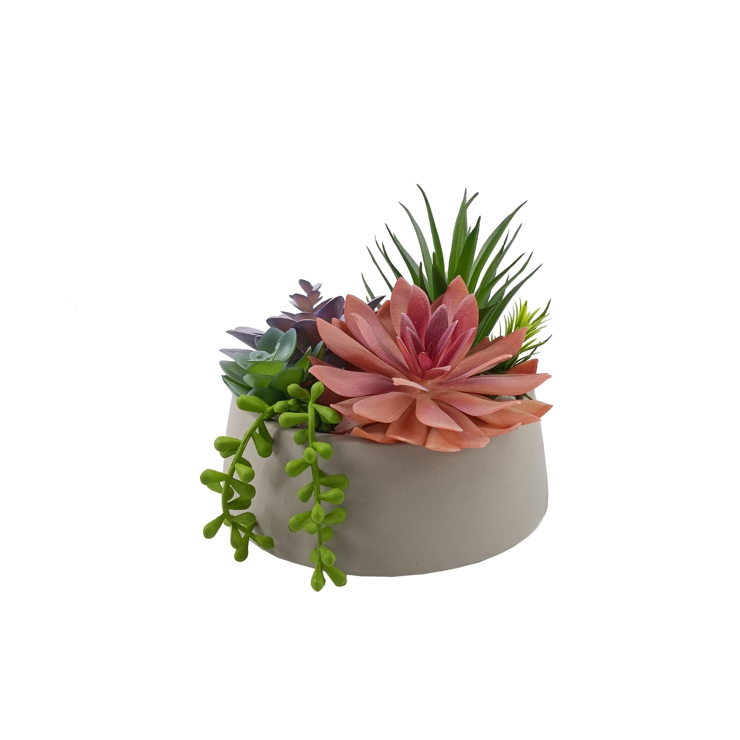 CANVAS 7-in Modern Artificial Indoor Succulent Plant in Cement Pot