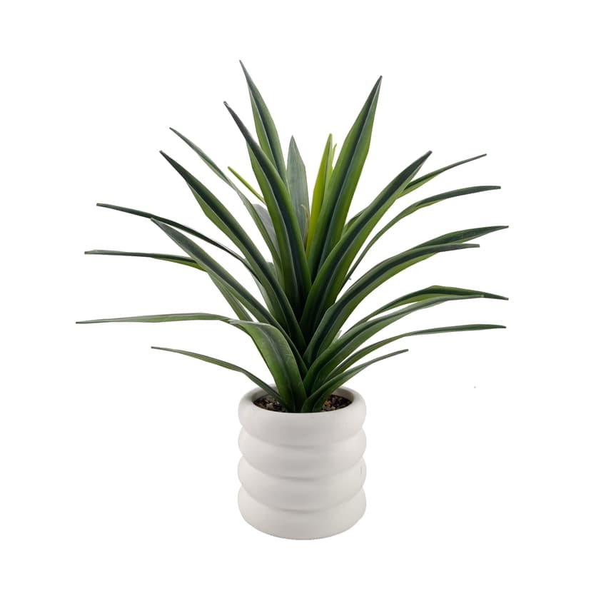 CANVAS 14.5-in Artificial Indoor Agave Plant in Ceramic Pot