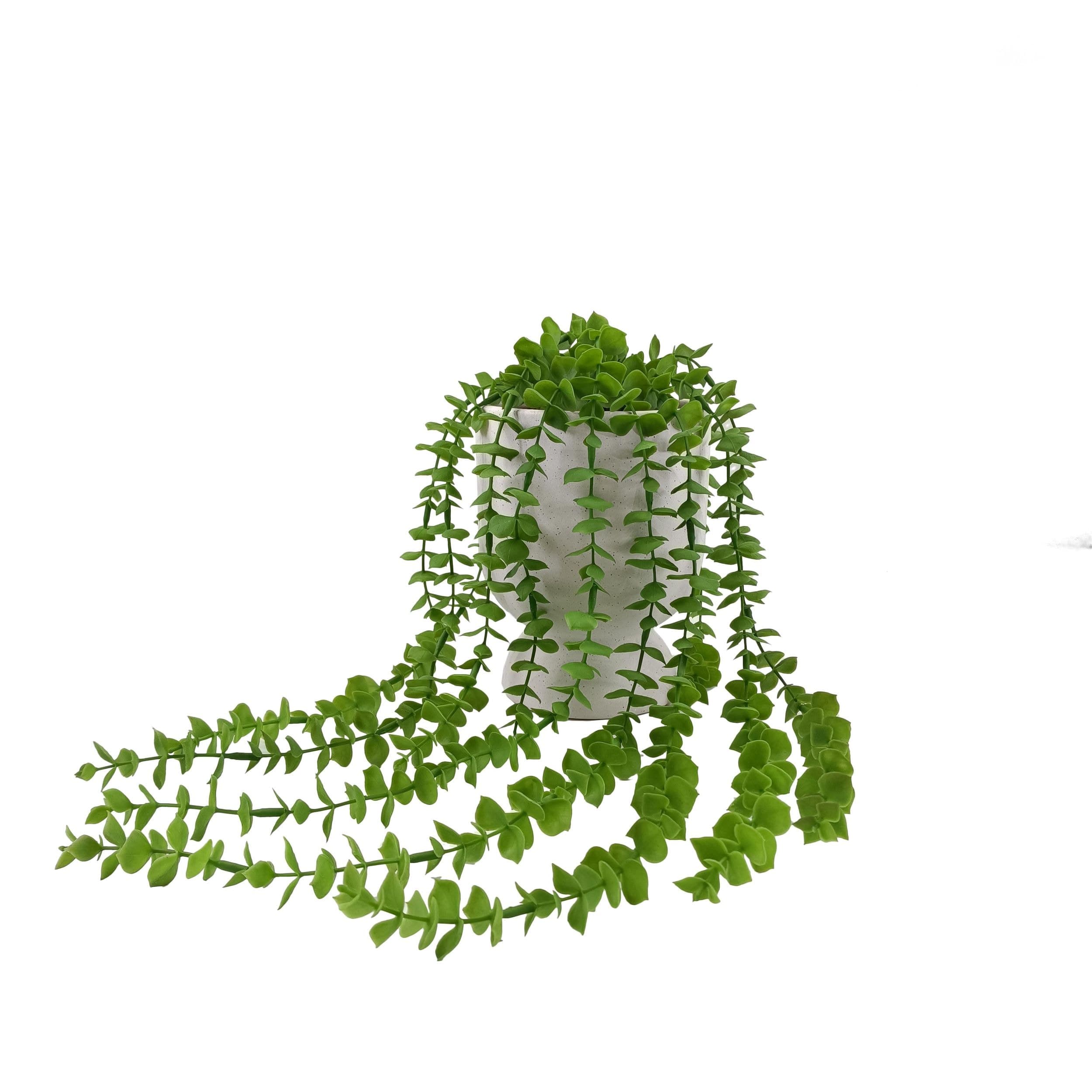 CANVAS 22-in Hanging Artificial Indoor Eucalyptus Plant with Ceramic Pot