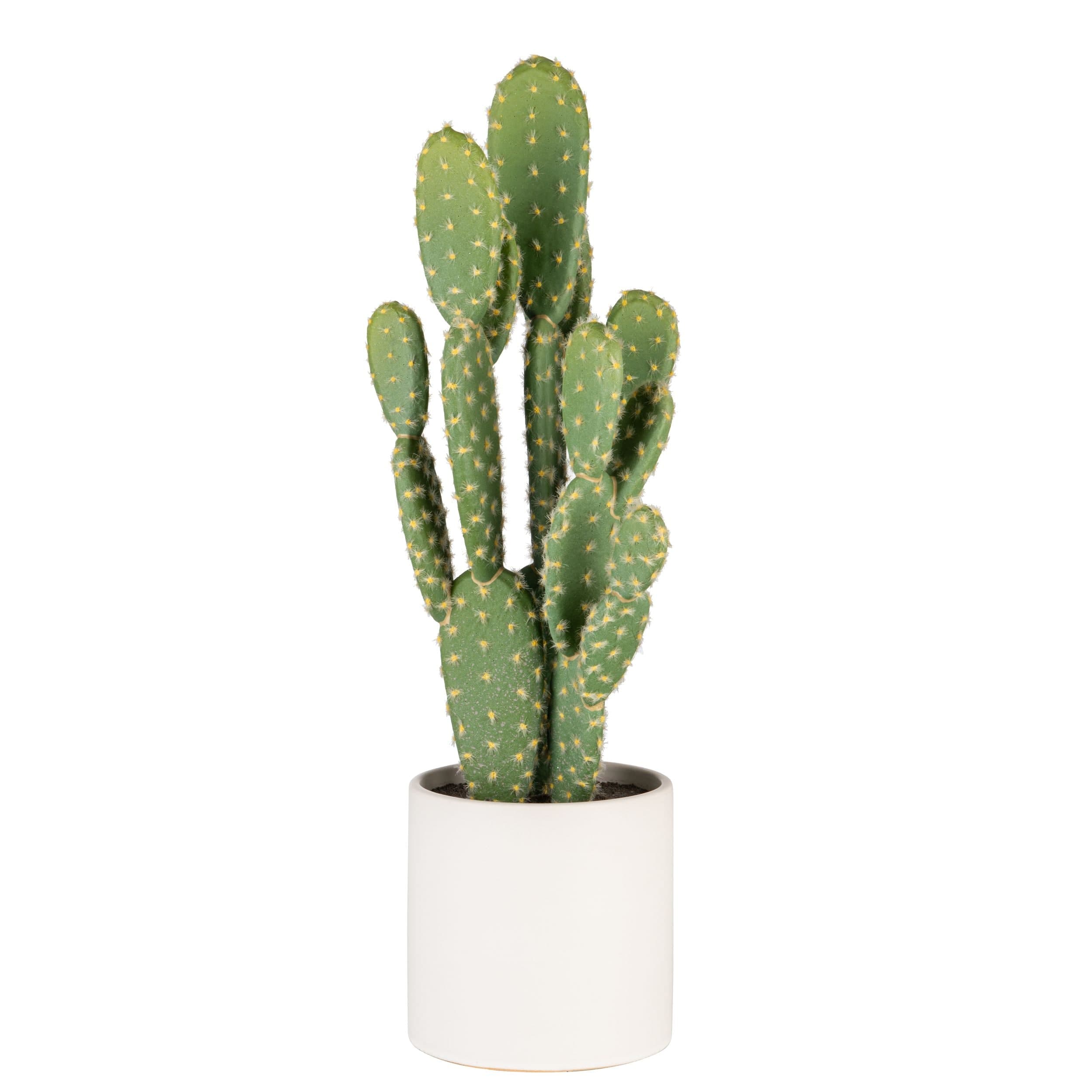 Naturae Décor 19-in Bunny Ears Cactus Artificial Indoor Plant