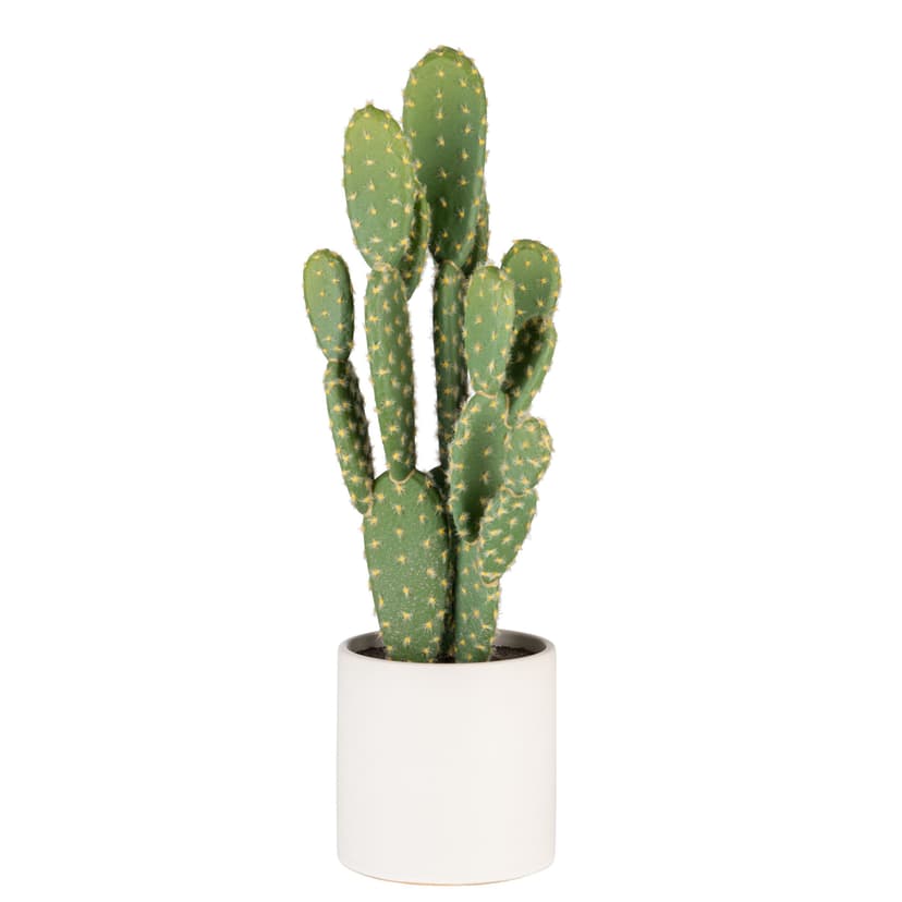 Naturae Décor 19-in Bunny Ears Cactus Artificial Indoor Plant