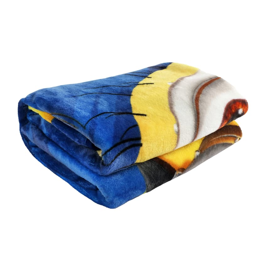 Despicable Me Minions Throw Blanket, 50-in x 60-in