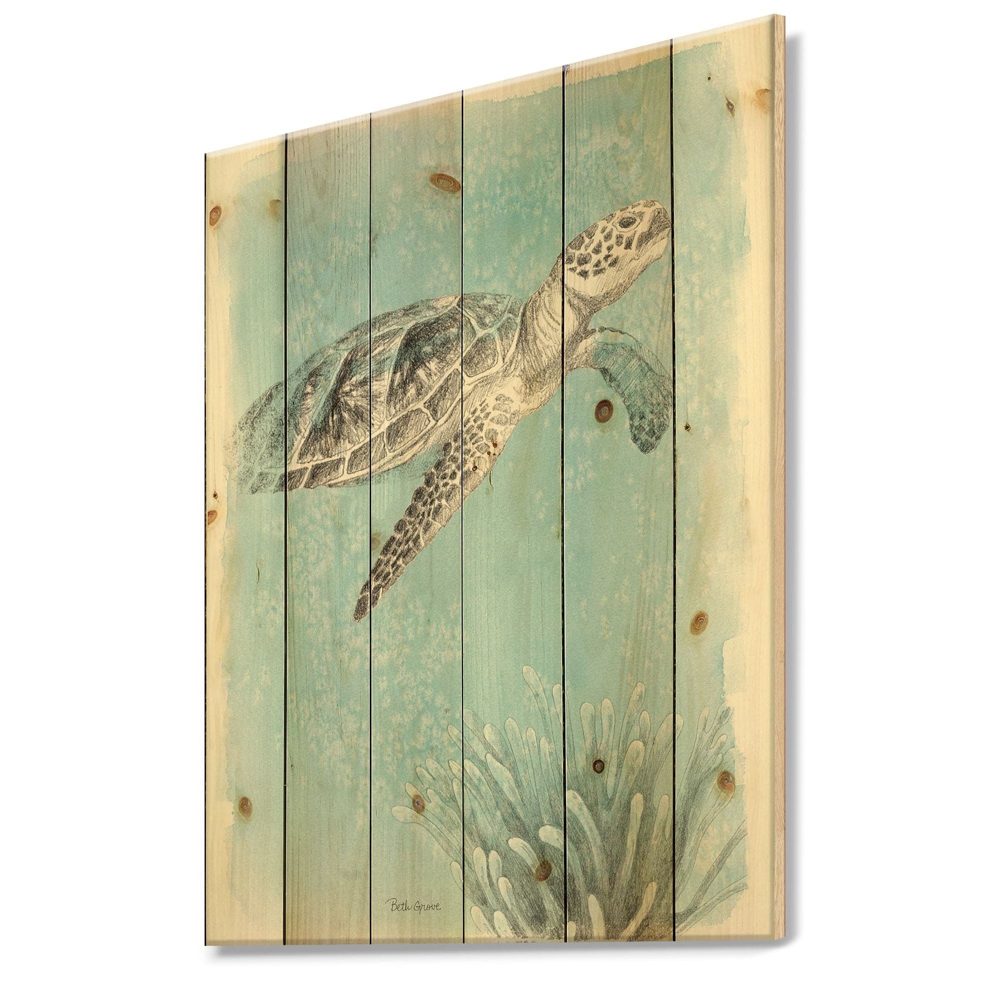 Designart 'Coastal Sea Life I Turtle' Coastal Canvas Print Wall Art on Natural Pine Wood, 24-in x 32-in