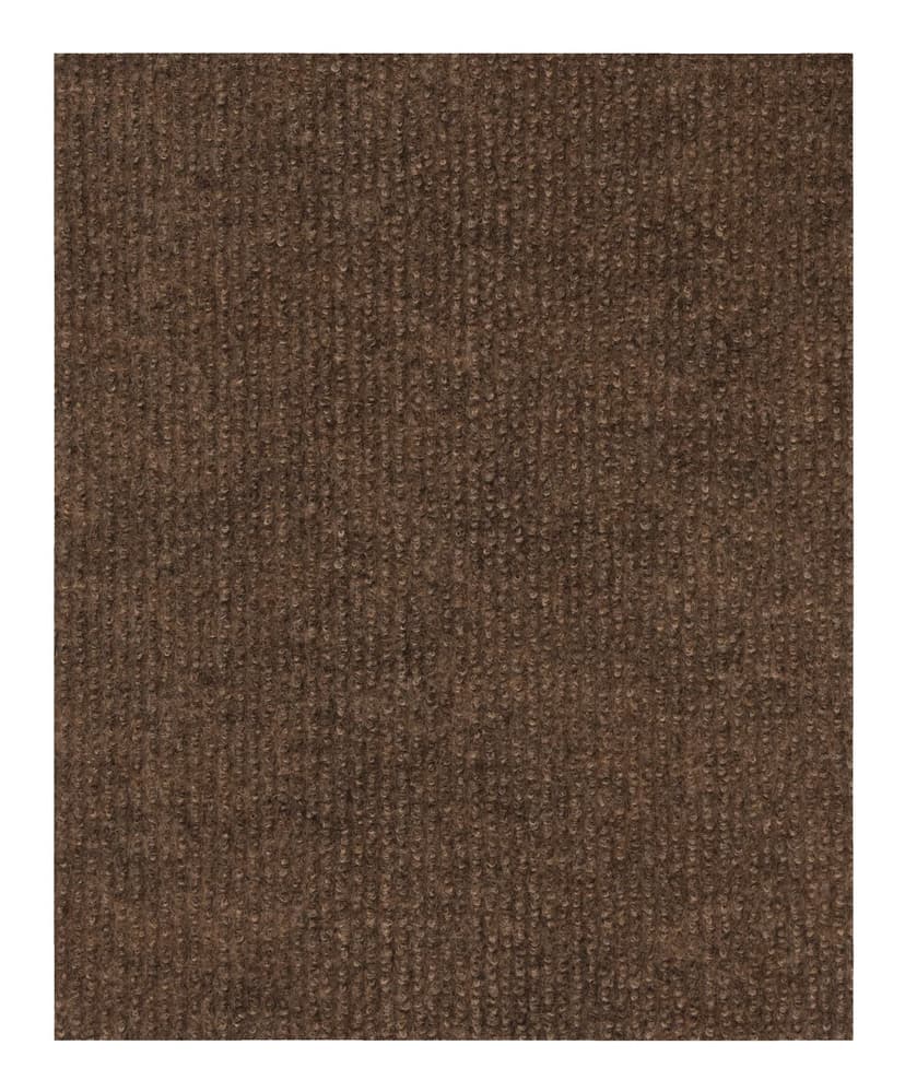 Multy Home National Indoor/Outdoor Rug, Assorted Colours, 6-ft x 8-ft