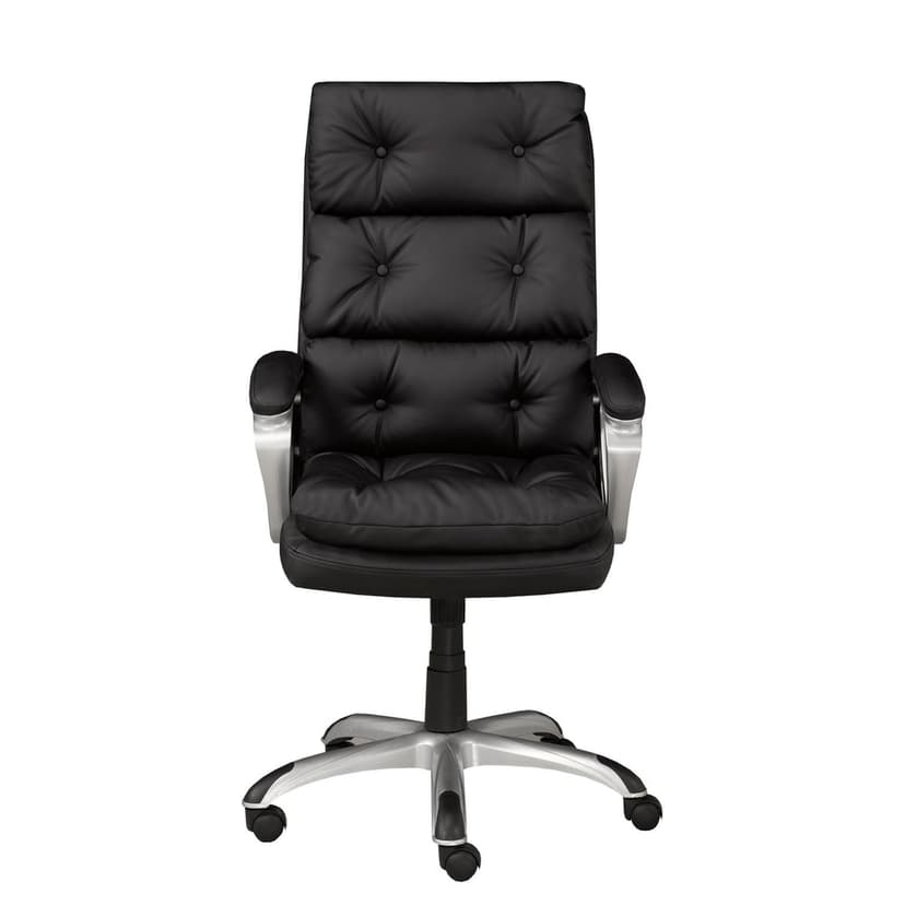 Brassex Abbott Ergonomic Office Chair, Black