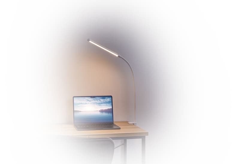 Noma Desk Lamp with Clamp