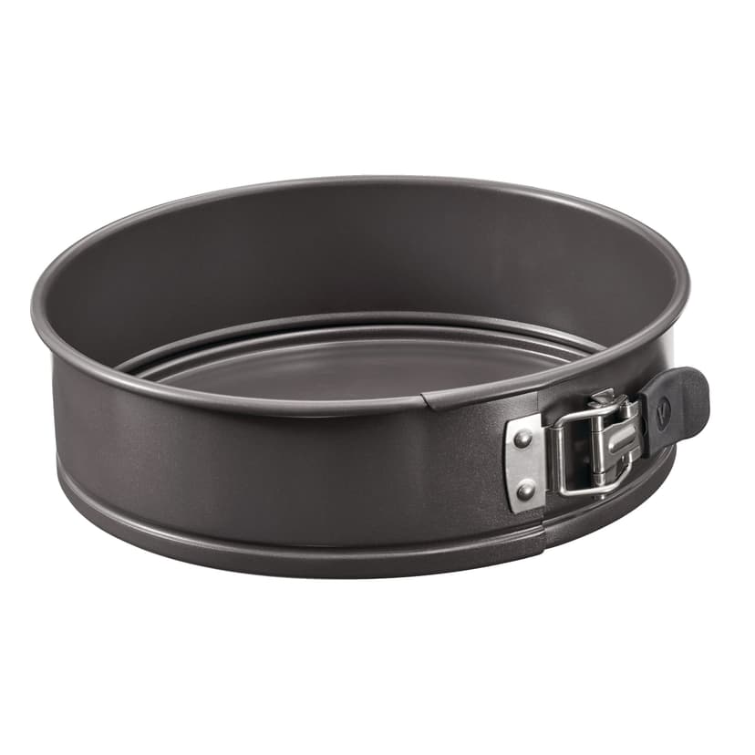 Vida by PADERNO Non-Stick Springform Cake Pan, 9-in