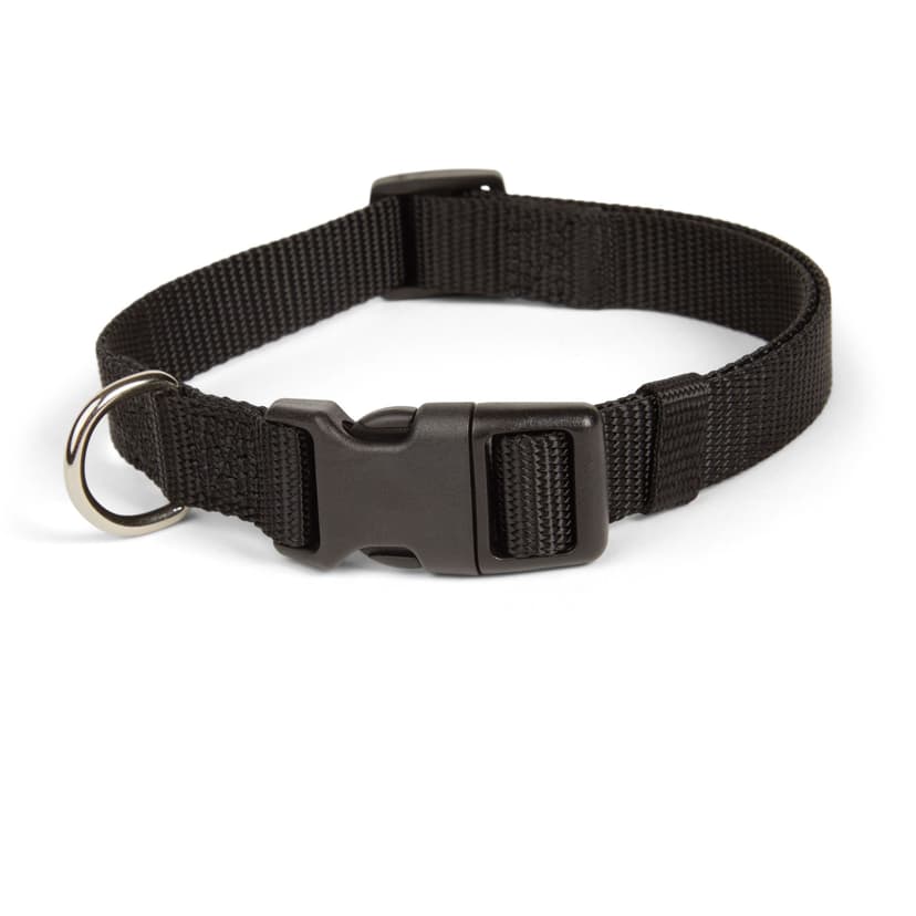 Petco Black Nylon Dog Collar, Adjustable, Includes Tag Muffler, Medium